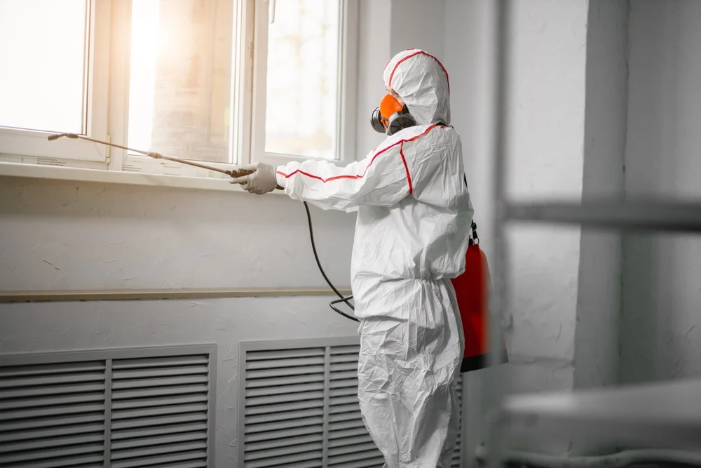 Professional mold remediation services in Velma, OK